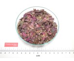 VIGNE ROUGE feuille coupée*