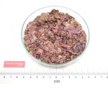VIGNE ROUGE feuille coupée*