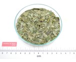 MATÉ VERT feuille coupée*