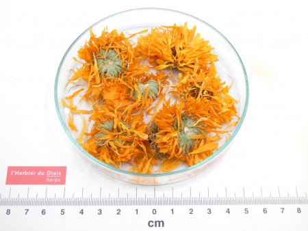 SOUCI - CALENDULA fleur entière*