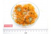 SOUCI - CALENDULA fleur entière*