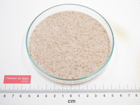 PSYLLIUM BLOND tégument*