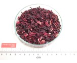HIBISCUS fleur coupée*