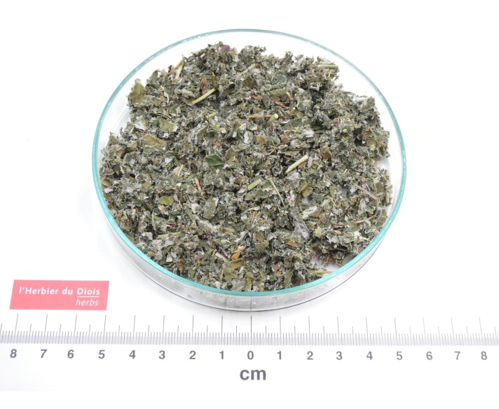 FRAMBOISIER feuille coupée*