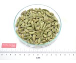 CARDAMOME fruit entier*