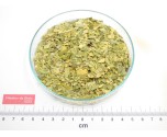 GINKGO Feuille coupée*
