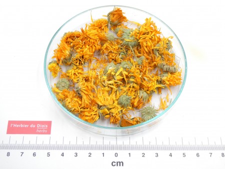 SOUCI - CALENDULA fleur entière*