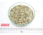 BOURSE A PASTEUR partie aérienne coupée*