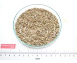 AIGREMOINE partie aérienne coupée*