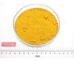 CURCUMA poudre*