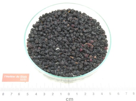 MYRTILLE fruit