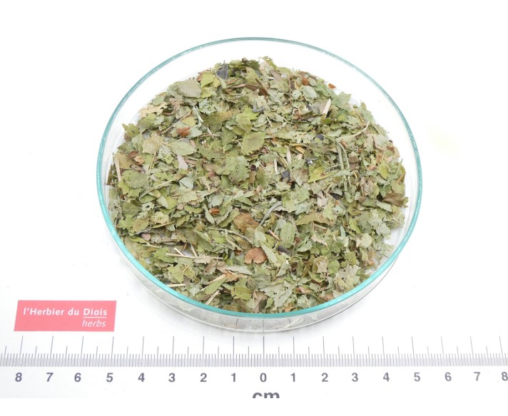 MYRTILLE feuille coupée