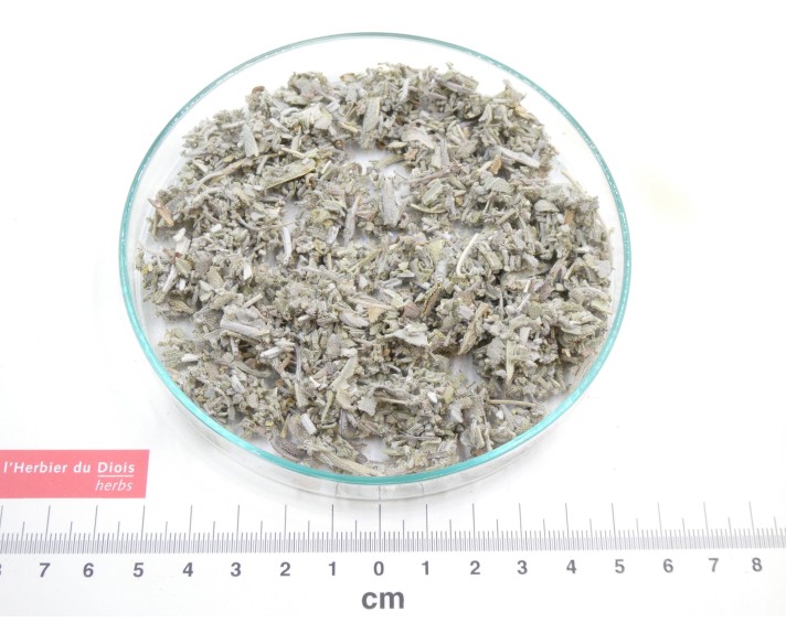 SAUGE feuille coupée