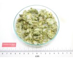HOUBLON cône entier*