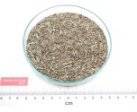 SERPOLET sommité fleurie coupée*