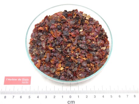 CYNORRHODON fruit coupé