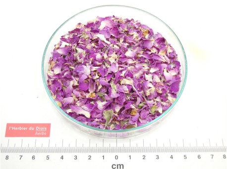 ROSE DE DAMAS - ROSE PÂLE pétale entier bio - en vrac