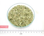 ORANGER BIGARADIER feuille coupée*