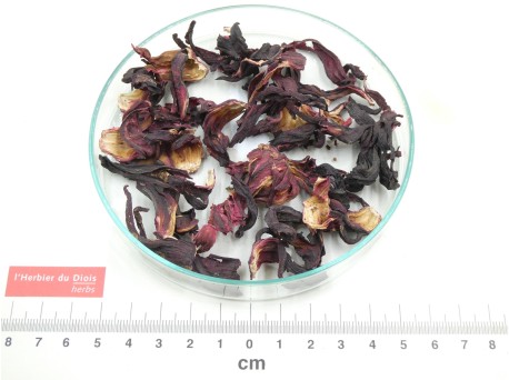 HIBISCUS fleur entière bio - en vrac - réservé aux professionnels