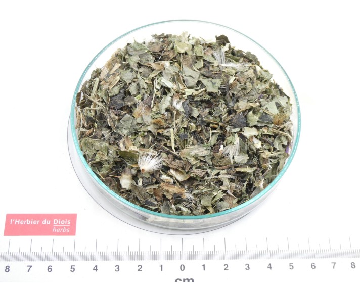 MÉLISSE feuille coupée*