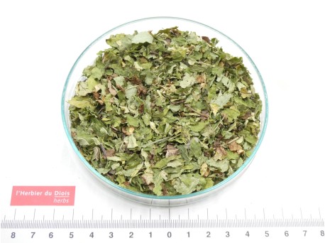 MENTHE DOUCE feuille brisure