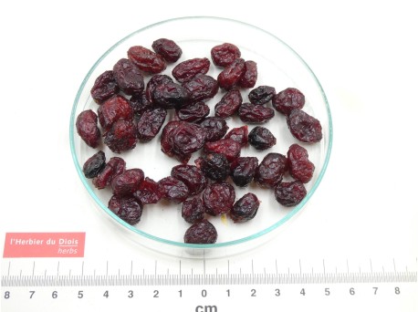 CANNEBERGE fruit (sucré)