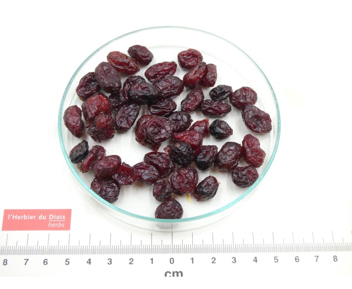 CANNEBERGE fruit (sucré)