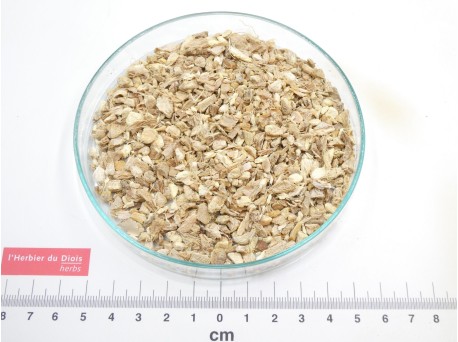 GINGEMBRE rhizome coupé bio - en vrac - réservé aux professionnels
