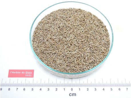 CUMIN graine entière