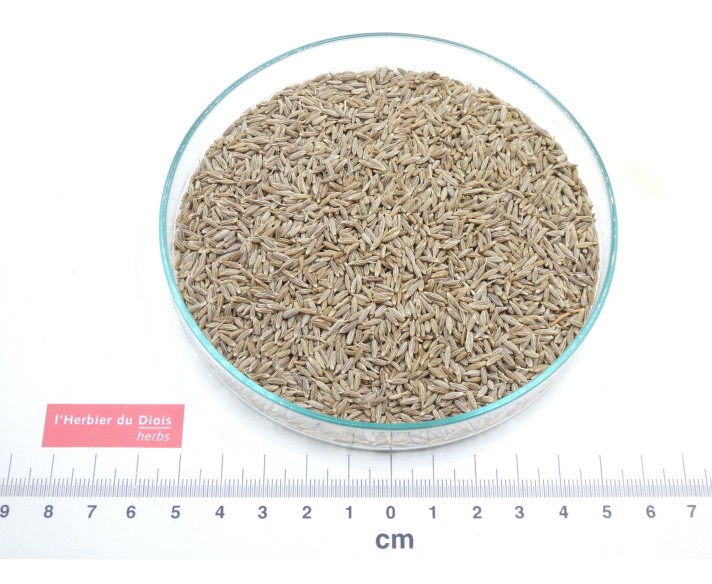 CUMIN graine entière