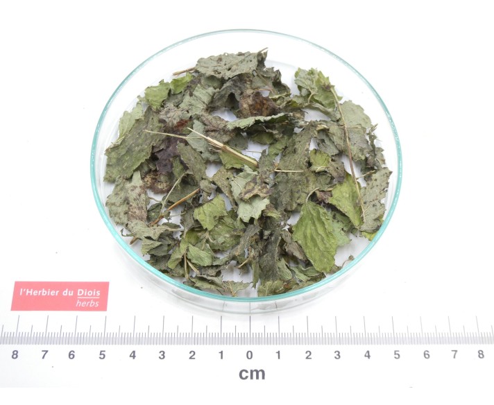 MÉLISSE feuille entière