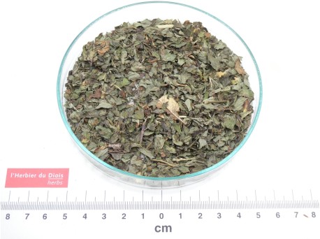 MENTHE POIVREE brisure - Origine France bio - en vrac