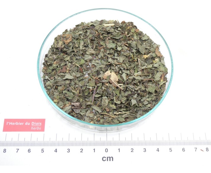 MENTHE POIVREE brisure - Origine France bio - en vrac