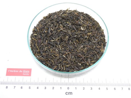 THÉ VERT CHINE au JASMIN