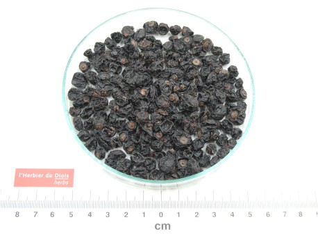 CASSIS fruit entier