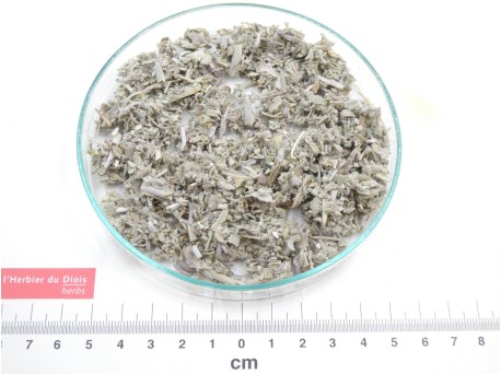 SAUGE feuille coupée