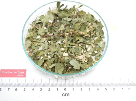 AUBÉPINE sommité fleurie coupée bio - en vrac - réservé aux pro