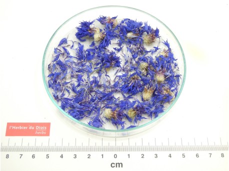 BLEUET fleur entière