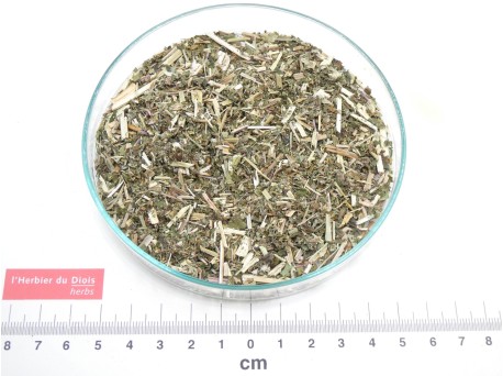 REINE DES PRES sommité fleurie coupée bio - en vrac