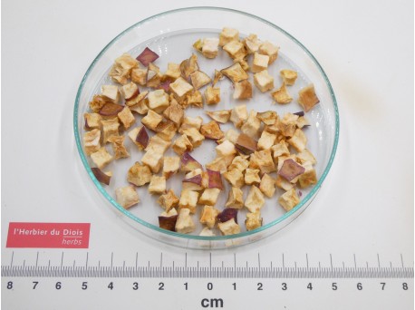 POMME fruit coupé bio - en vrac - réservé aux professionnels