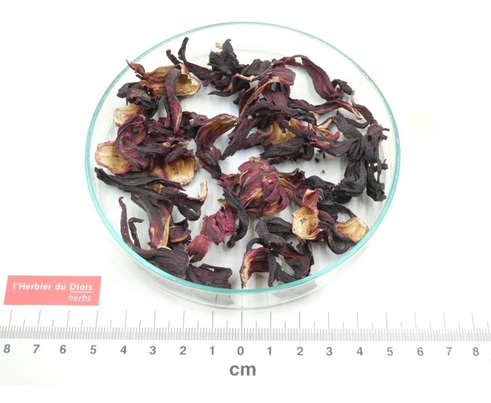 HIBISCUS fleur entière bio - en vrac - réservé aux professionnels