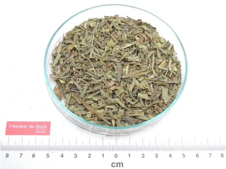 ESTRAGON feuille entière