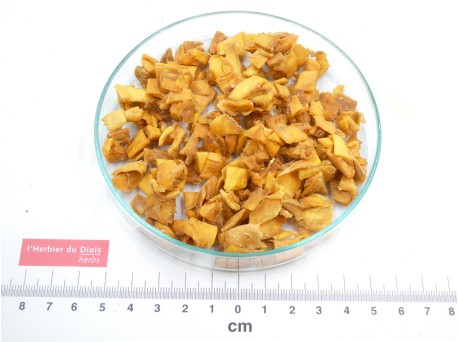 MANGUE séchée morceaux Bio - en vrac - pour professionnels