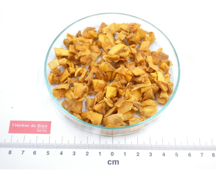 MANGUE séchée morceaux Bio - en vrac - pour professionnels